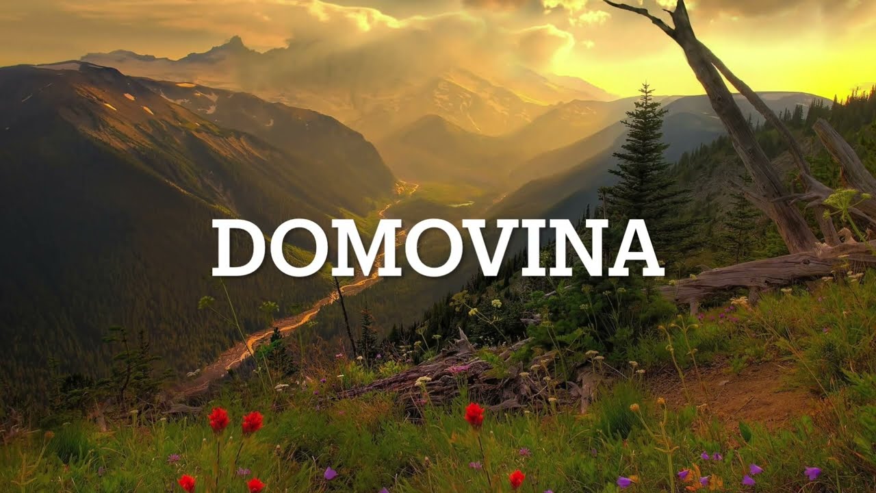 Domovina