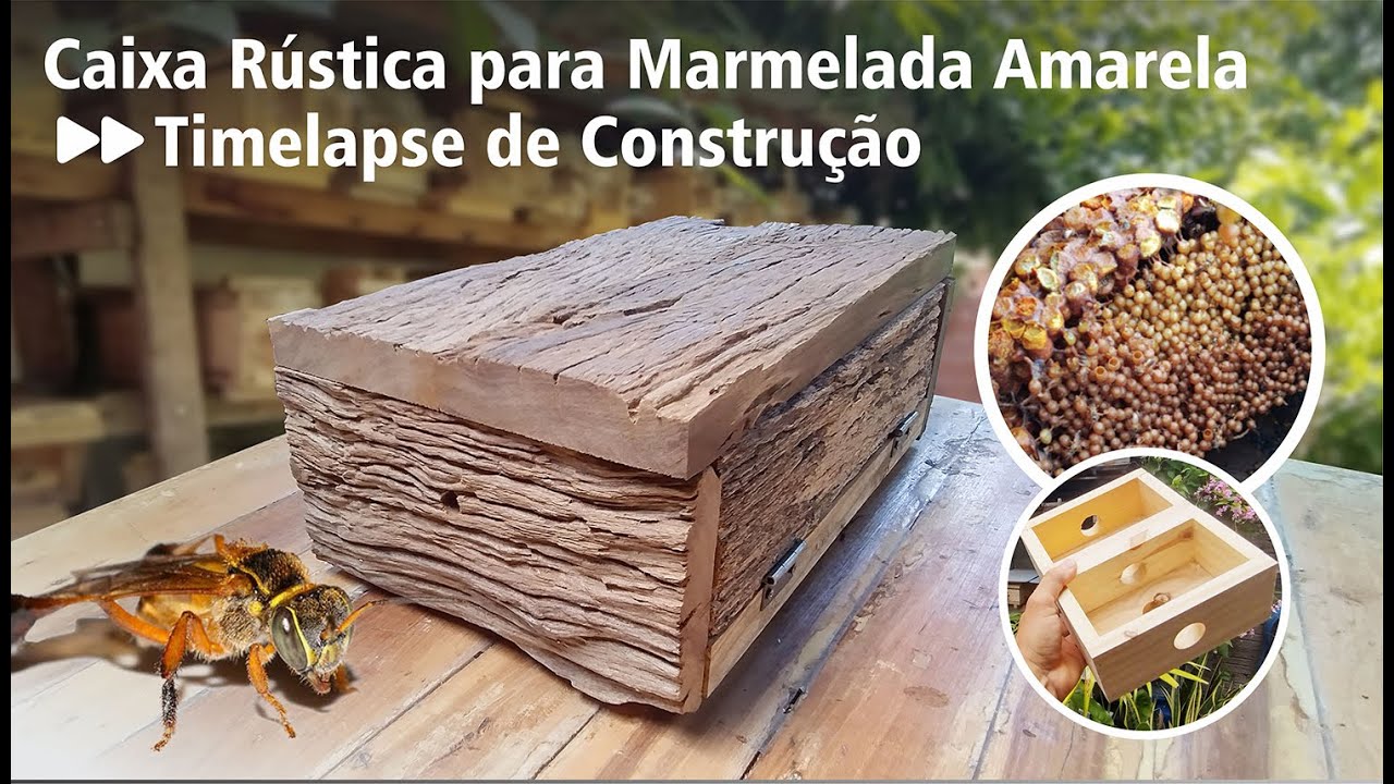 Caixa Rústica para Marmelada Amarela: Timelapse de Construção
