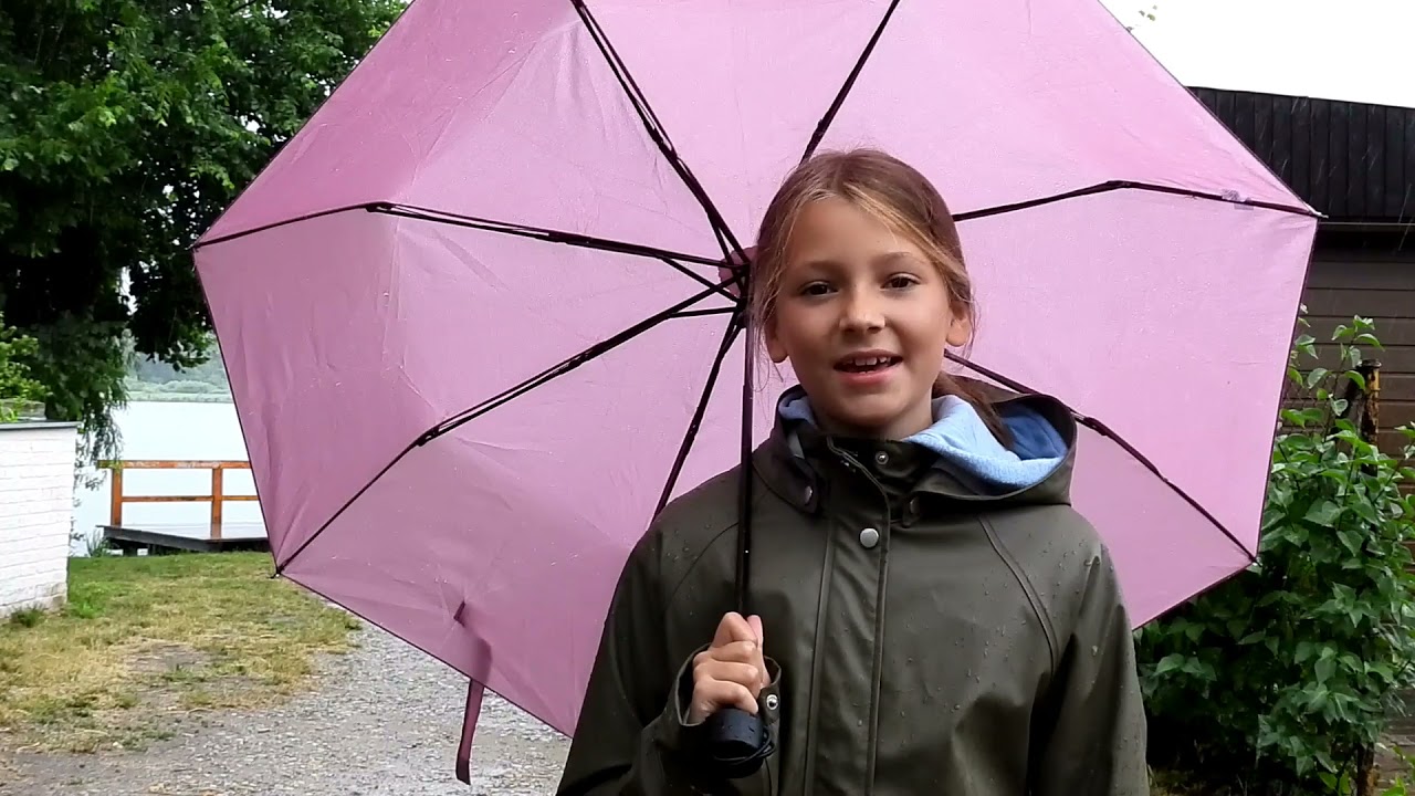 Meine Heimat Werder (Havel)