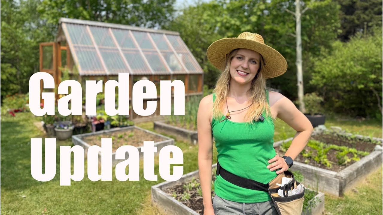 Garden Update- Early June 2025. Zone 5b, Newfoundland.