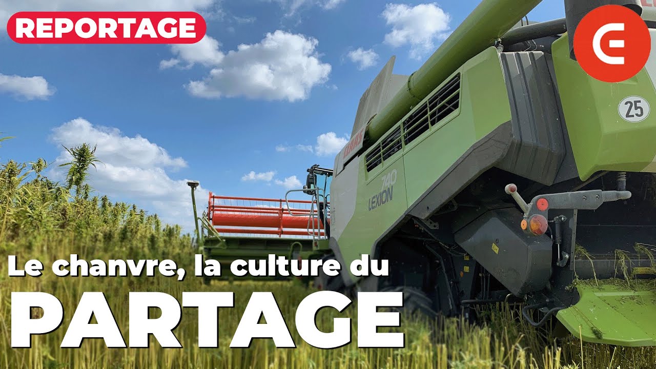 Le chanvre, la culture du partage