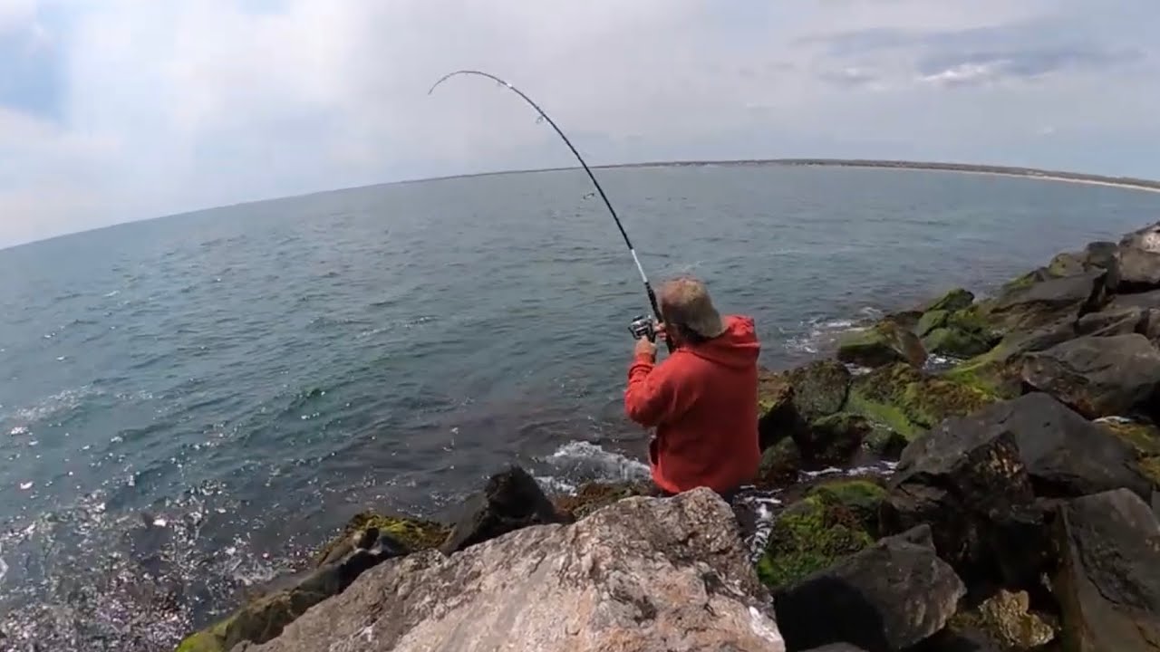 Fishing Tautog From Shore in Rhode Island, Como pescar Tautog (pescado Negro) de las rocas.