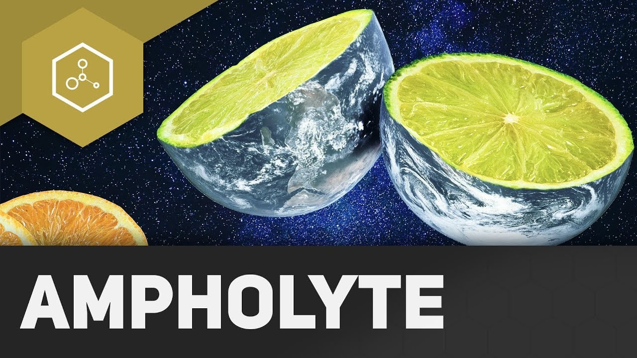 What are ampholytes?