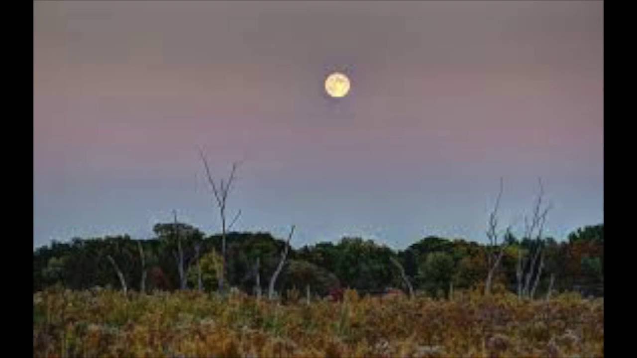 Roll Along Prairie Moon - Hays County Gals and Pals
