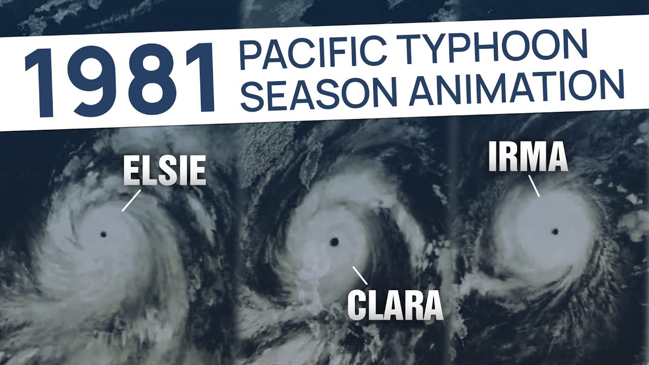 1981 Pacific Typhoon Season Animation