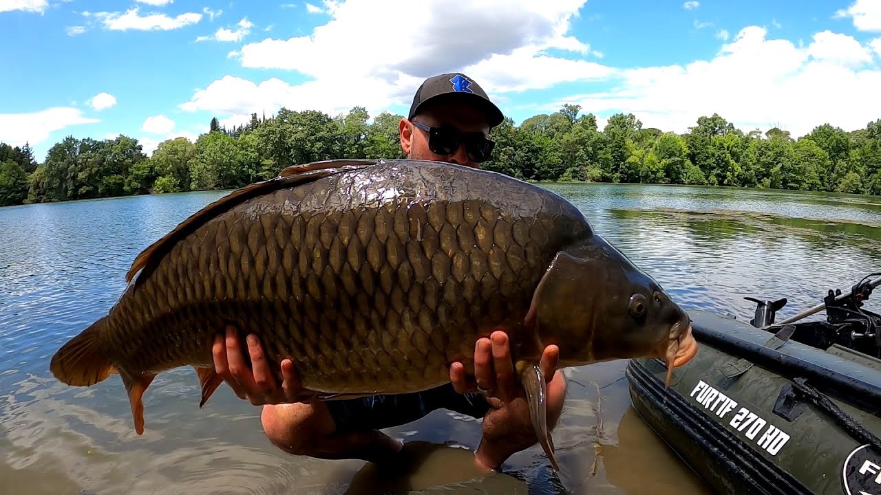 Record PERSO Carpe en rivière sauvage