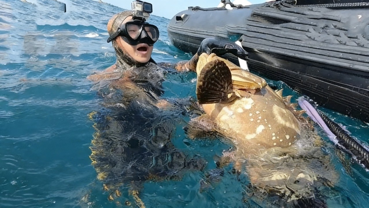 老表慘遭龍躉咬手，水下緊急呼救，兩人奮力魚口救人，太驚險了【探海漁人】