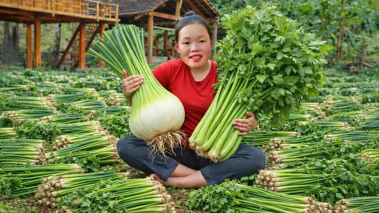 Harvesting Scallions and Celery from the Garden to Sell at the Market - Rural Life | Trieu Mai Huong