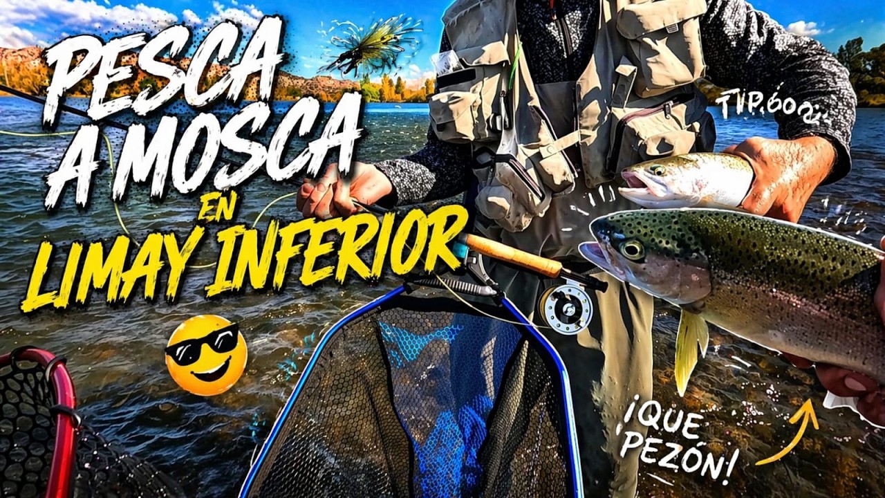 Pesca a mosca en Limay Inferior : Hilo Vs Tandem Seca-Ninfa con Rise XT Nymph