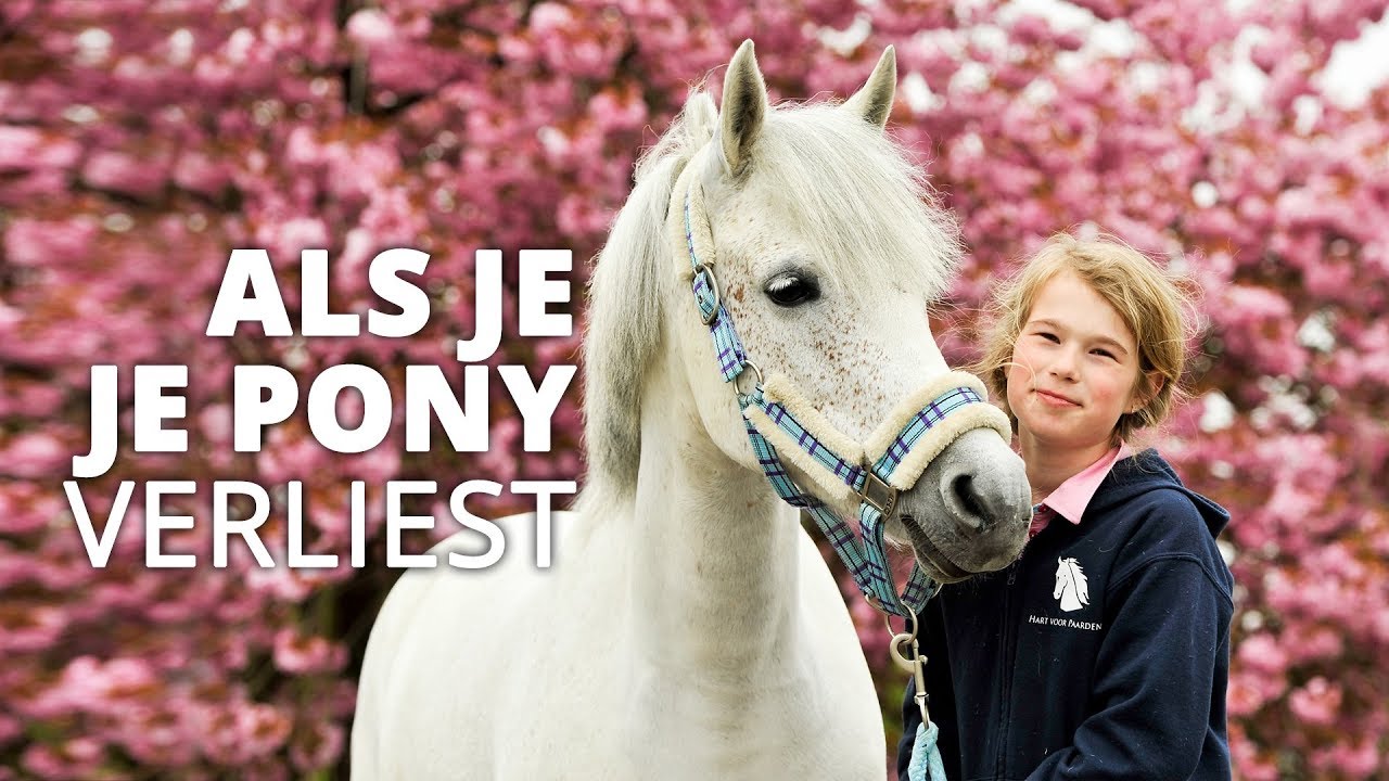 Als je je pony kwijtraakt | Het verhaal van Tessa
