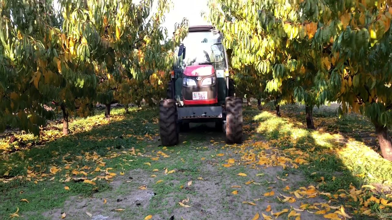 Kubota M8540 Narrow & Sip Orion *obornik/ Manure spreading*