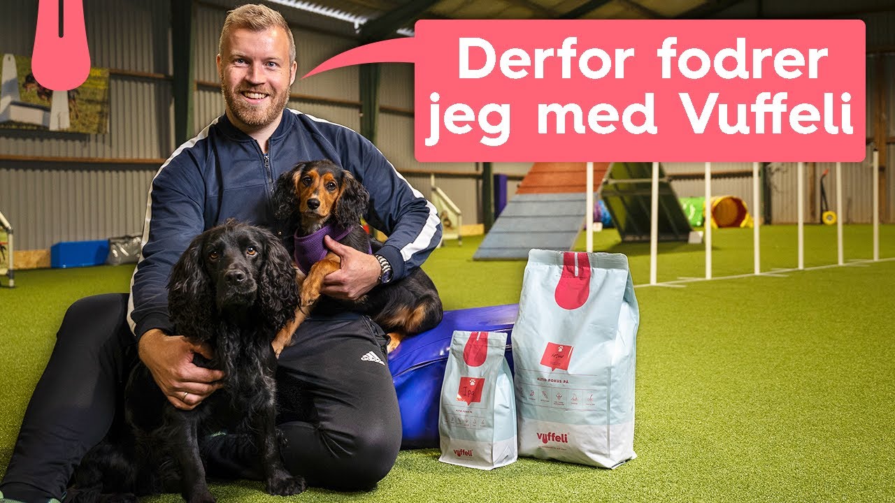 Derfor fodrer Henrik med Vuffeli's hundefoder - En del af Vuffeli familien