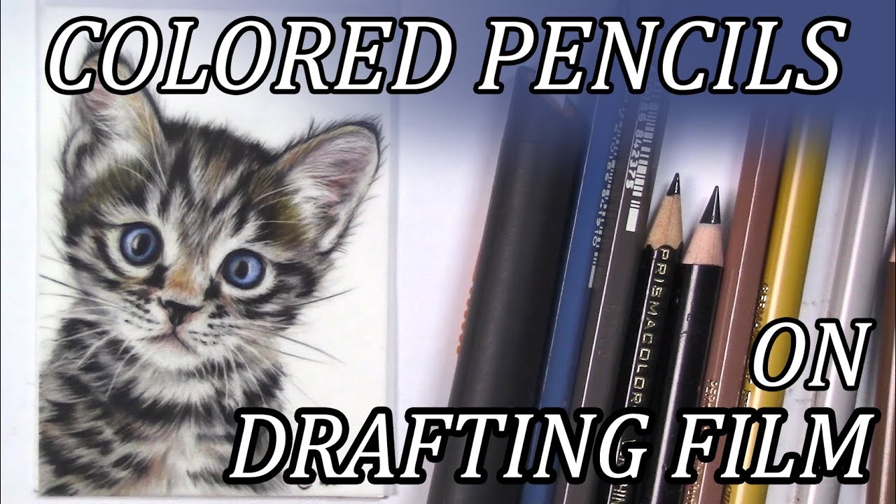 Trying out COLORED PENCILS on DRAFTING FILM Kitten drawing demo
