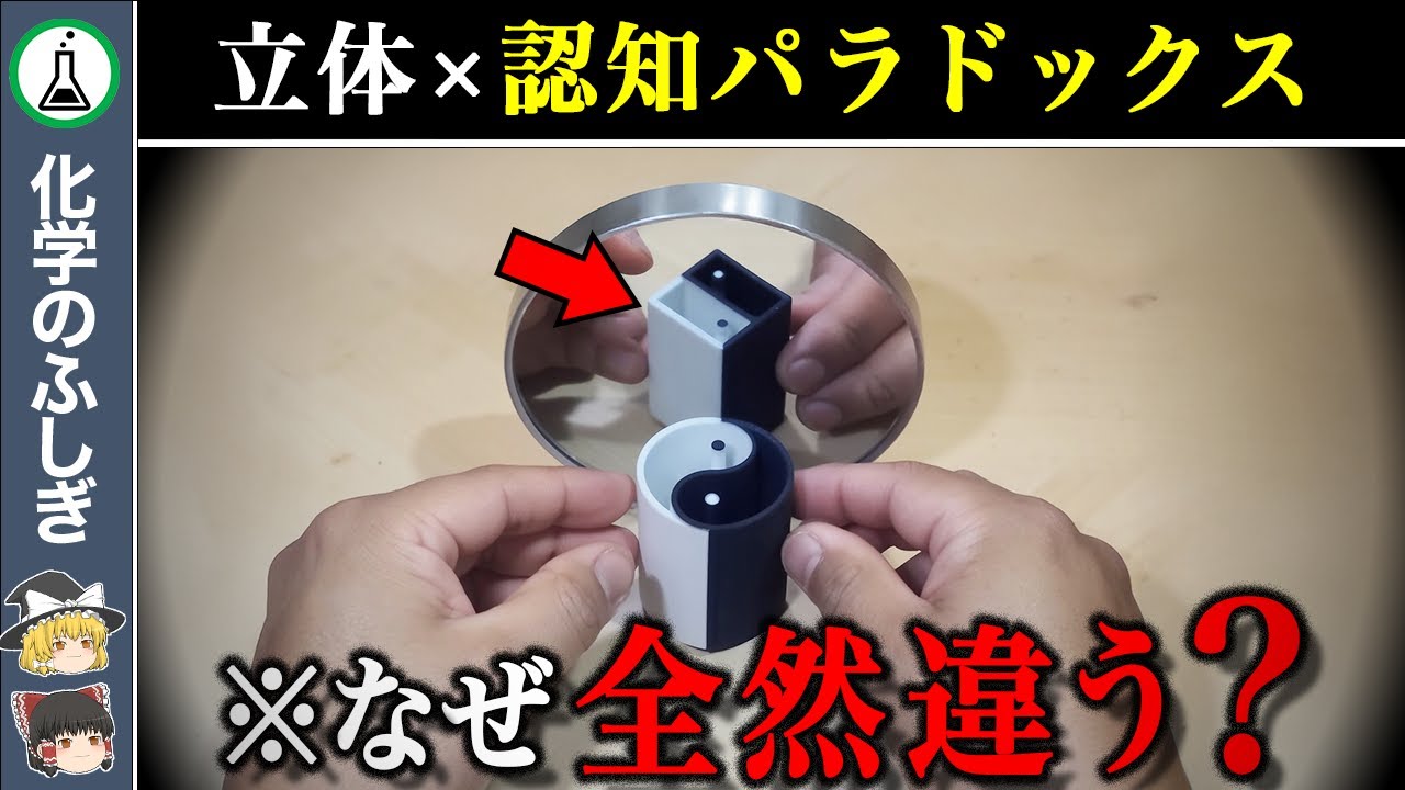 【目で見るパラドックス】なぜ同じ物体なのに見え方が違うのか？【ゆっくり解説】