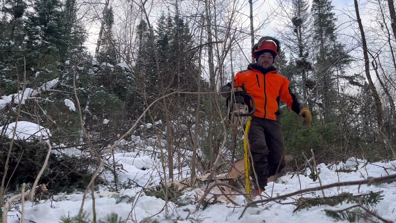 Wood logging with 440A johndeere skidder