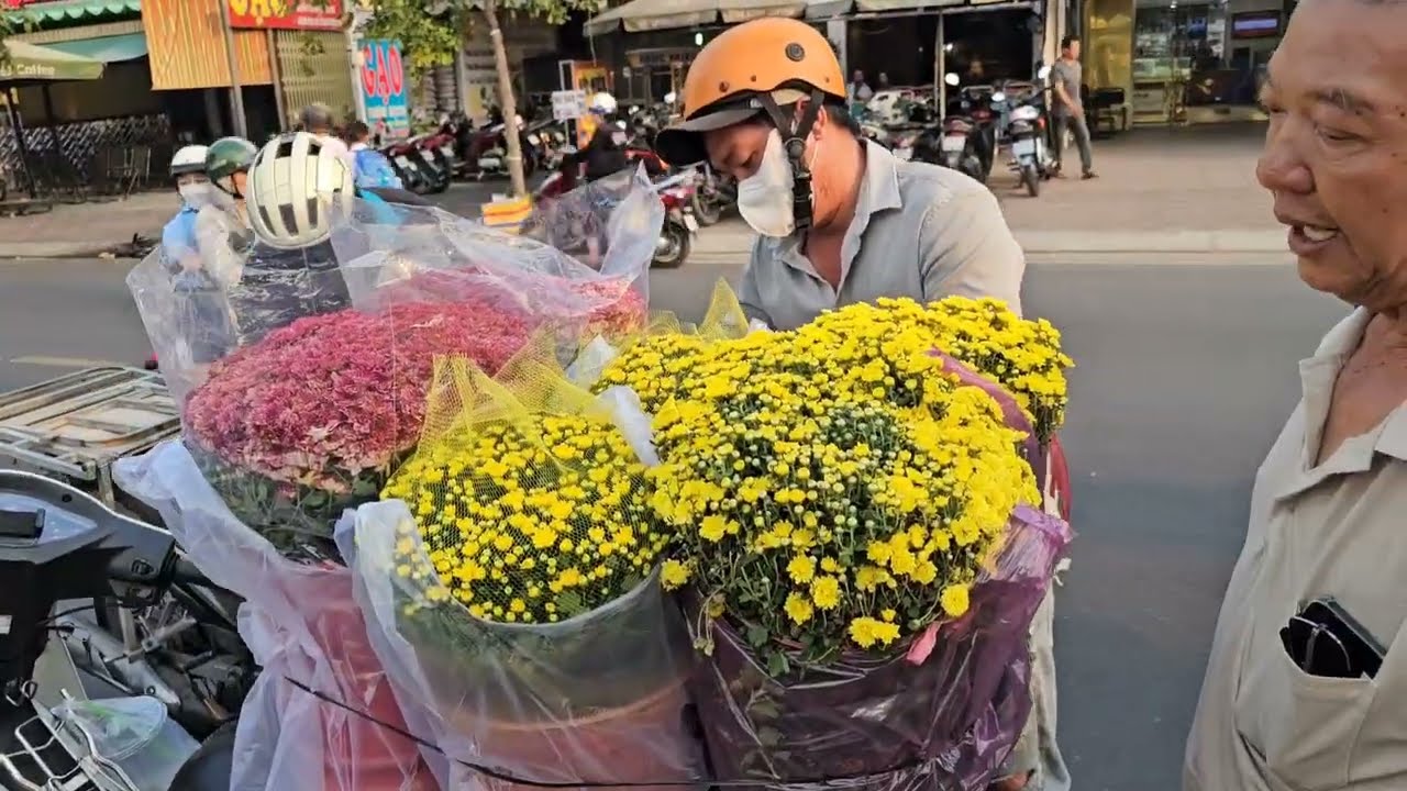 Chủ Vườn Xả Mai Rẻ Cho Khách Mua Về Chơi Tết.