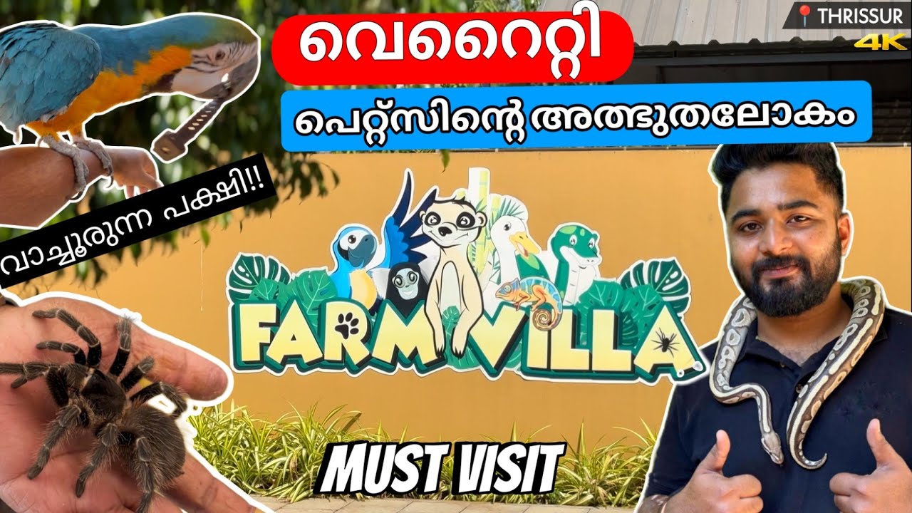 Farm Villa Chavakkad | Farm Villa Thrissur | One day trip plan in Thrissur |#viralvideo