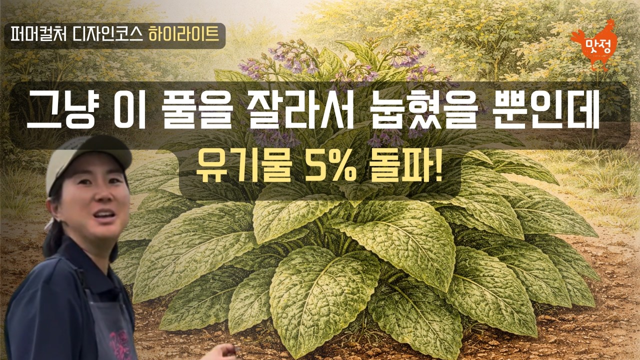 퇴비, 이제 사지 마세요! 흙이 완전히 살아난 충격 결과!_퍼머컬처 디자인코스 하이라이트 3