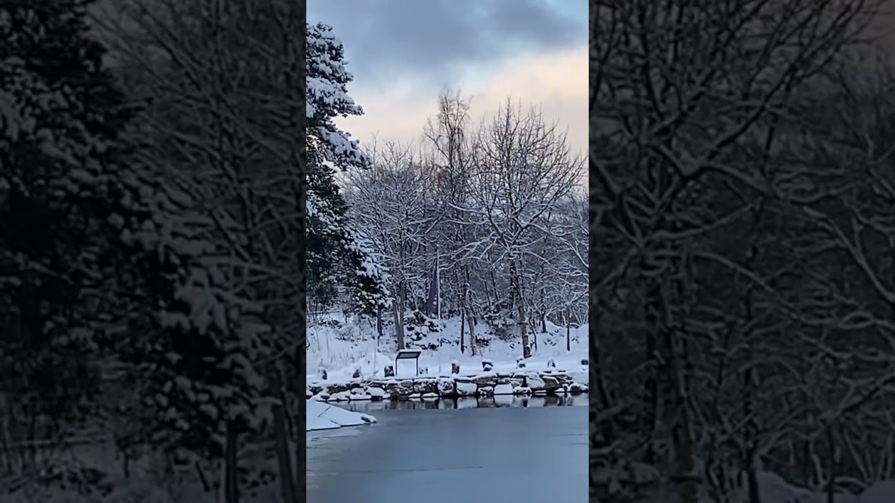 Beautiful Nature ,Norwegian Winter2024 #naturelovers #nature  #winter #beautifulnorway