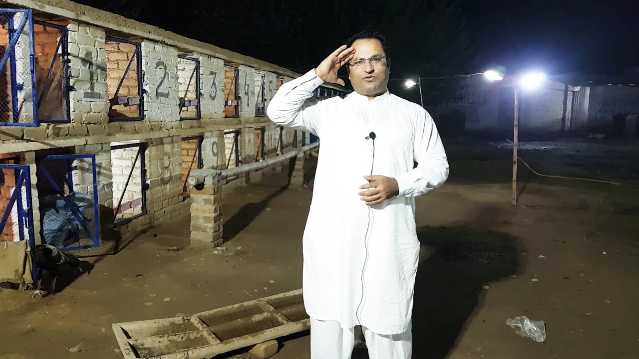 2/11/19| My Breeding Jorray | Palay Khan Breeders Aseel & Pooray Farm ka Ajj Shoq karay| 03149000032