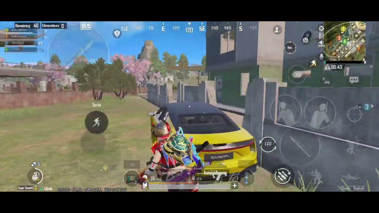 Funny Competitive Chicken Dinner 😋