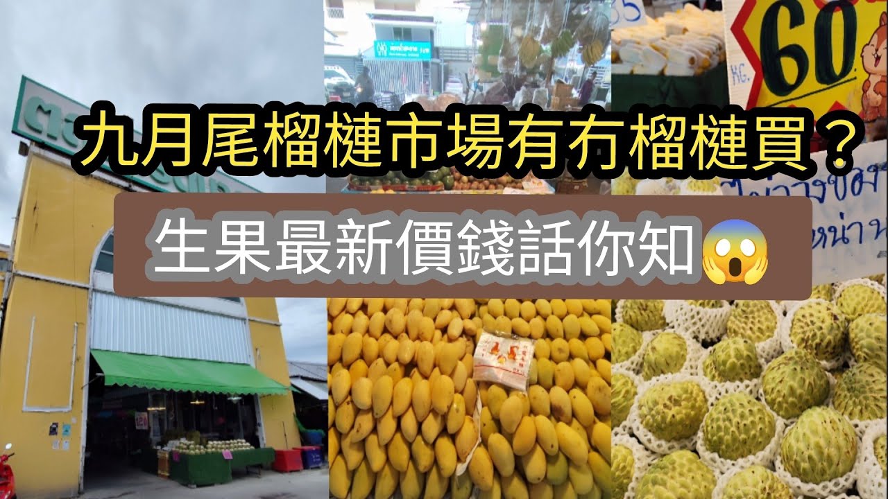 [泰國芭堤雅]榴槤市場9月還有冇榴槤買🤔生果最新價格話你知🥳🥳🥳