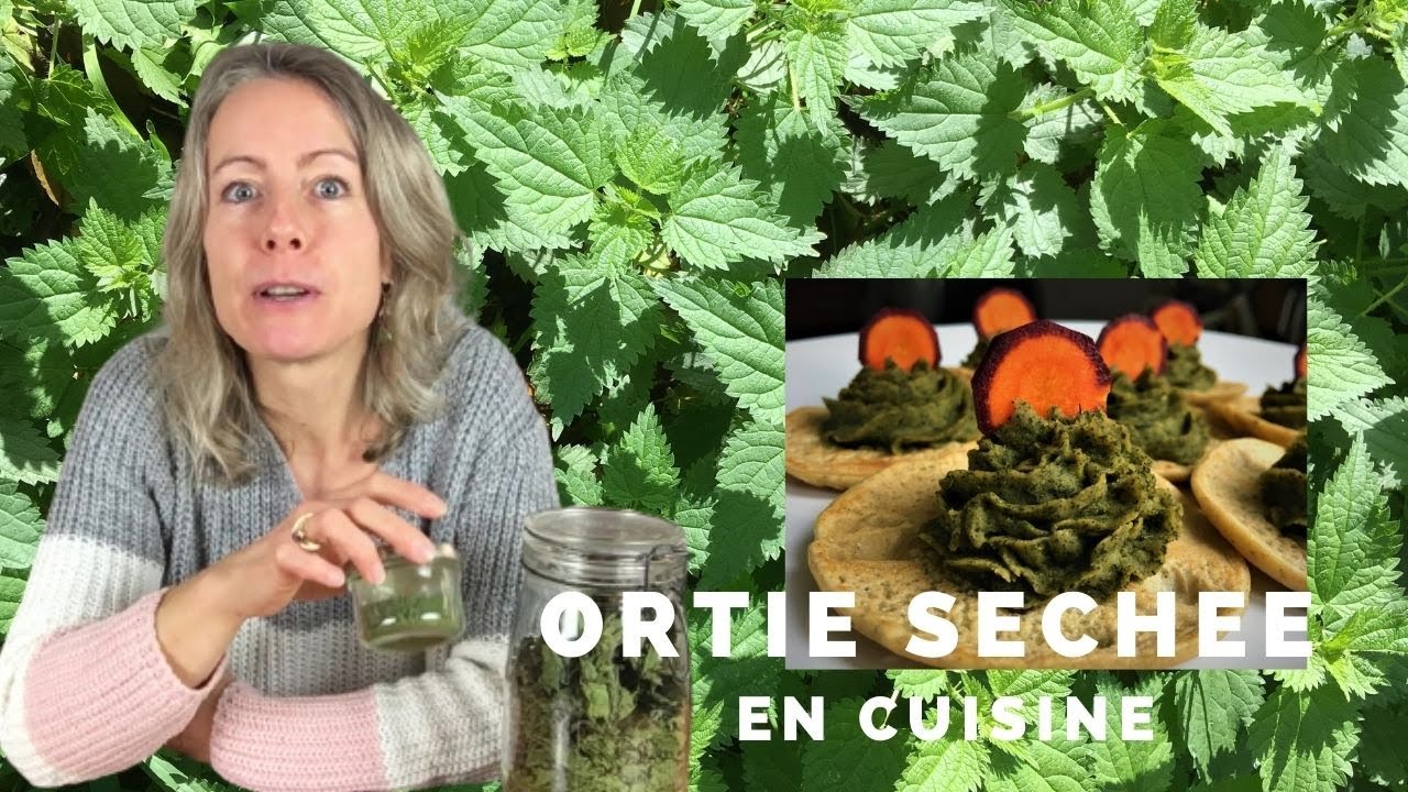 L'ortie s&eacute;ch&eacute;e en cuisine