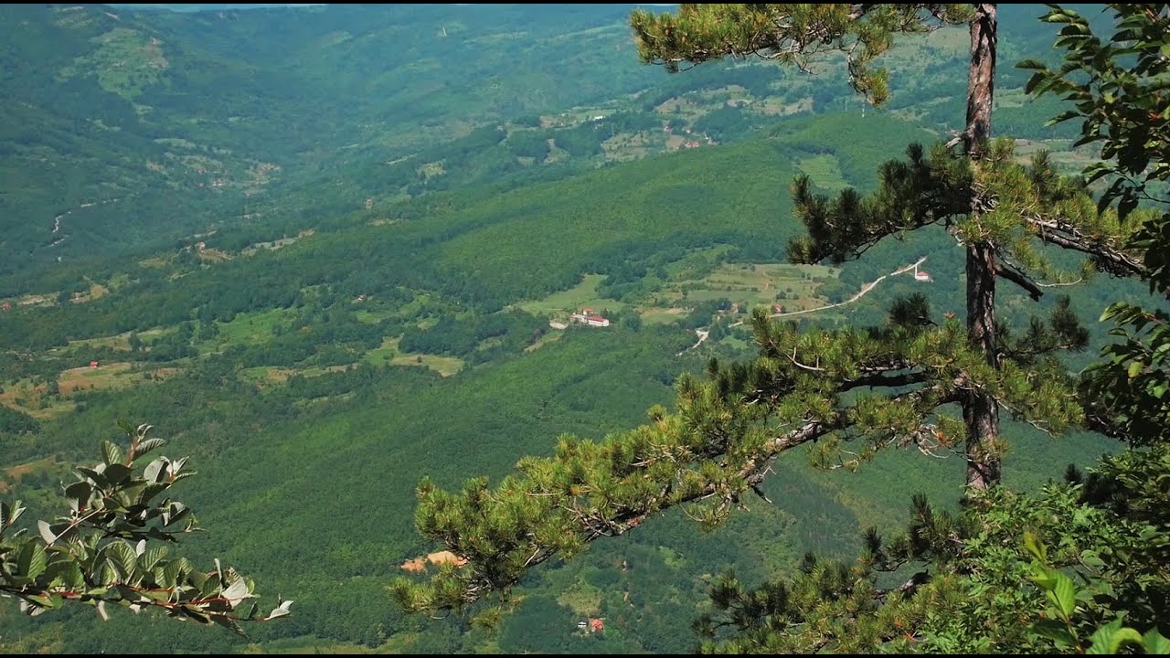 Tara National Park - the incredible beauty of nature in Serbia