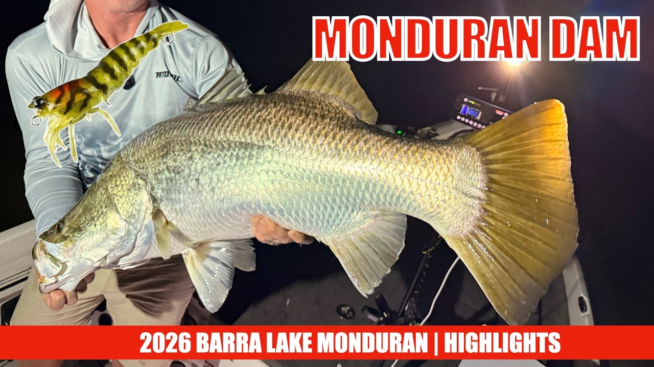Основные моменты BARRA Monduran All Nighter 2026