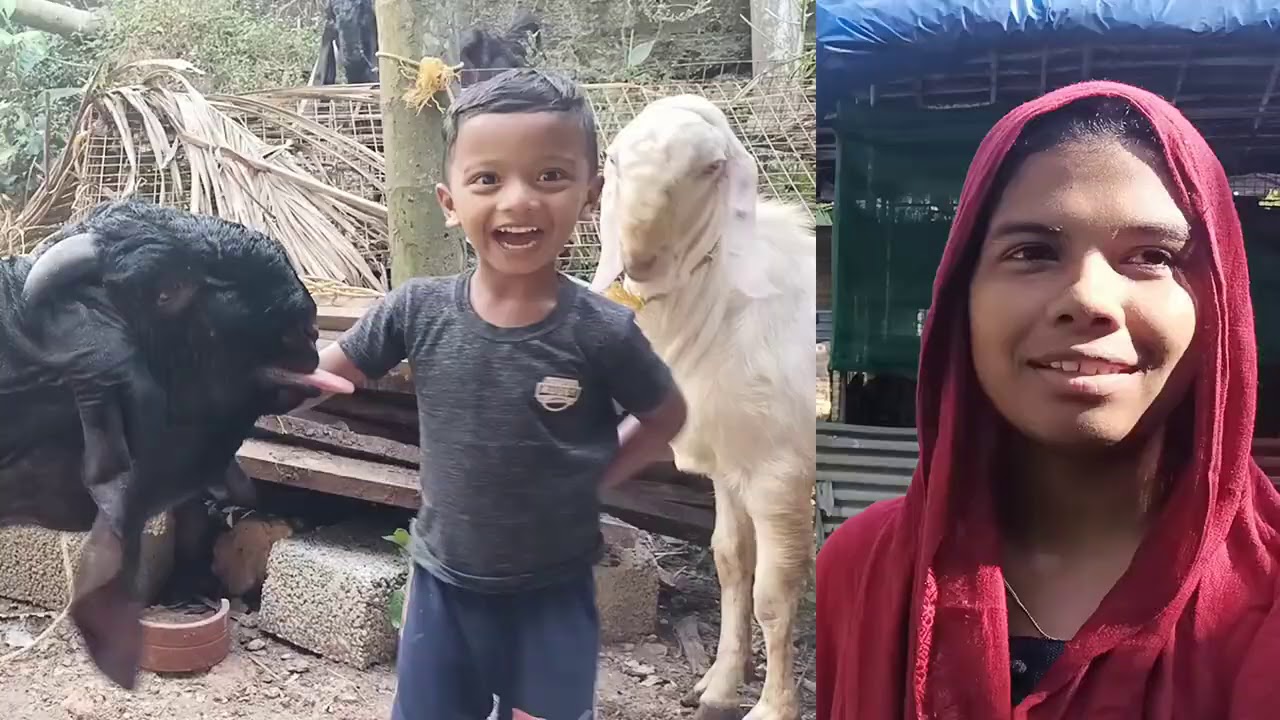 എറണാകുളം നോർത്ത് പറവൂർ നാം കേരളത്തിൽ ആട് വിപ്ലവം സൃഷ്ടിക്കും