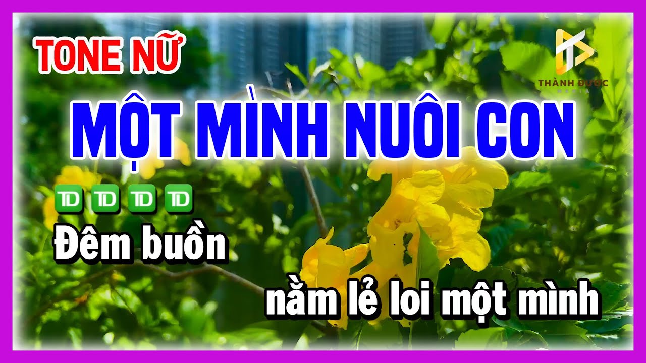 Karaoke MỘT MÌNH NUÔI CON - Nỗi Lòng Phụ Nữ Một Mình Nuôi Con - Nhạc Chế TONE NỮ