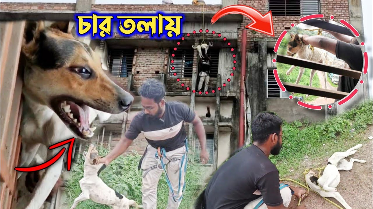 এতো উচুঁতে এরকম খতরনাক রেসকিউ❗সত্যি এবারে আমি নিজে ভয় পেয়েছিলাম 😢 | Rescue by Samiran Barik |