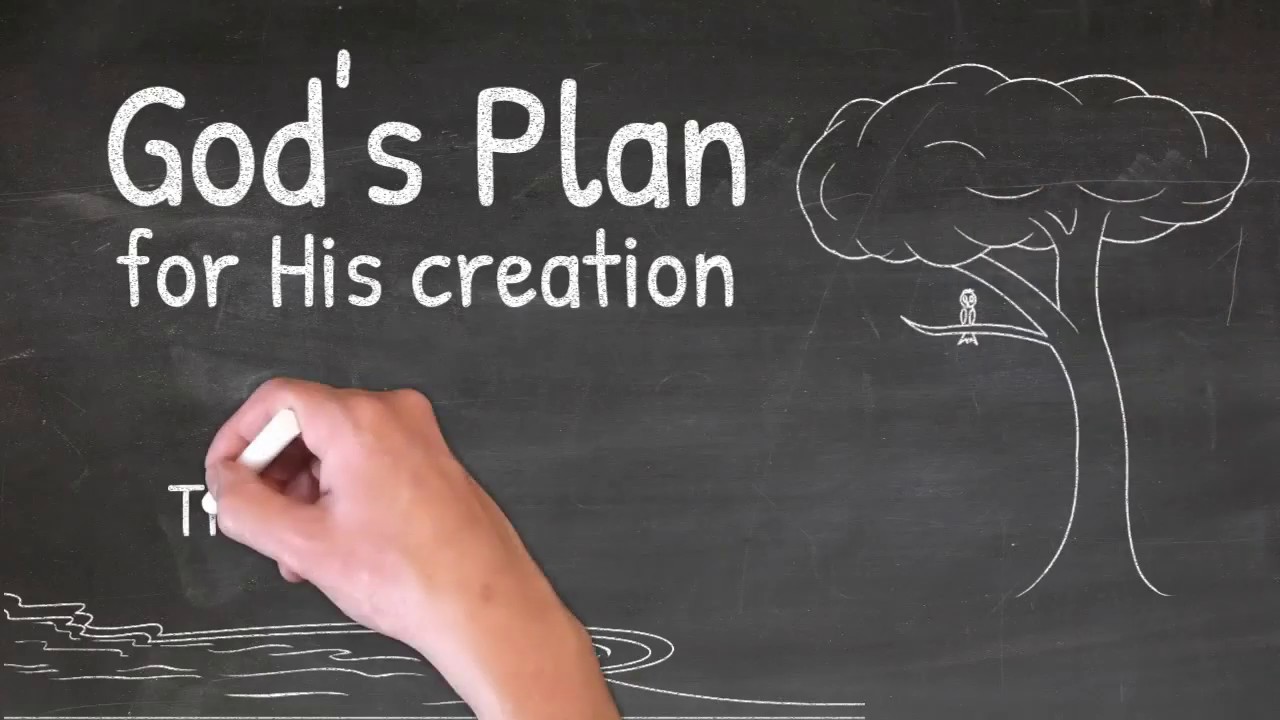 Bible Chalk Talk:  God's Plan