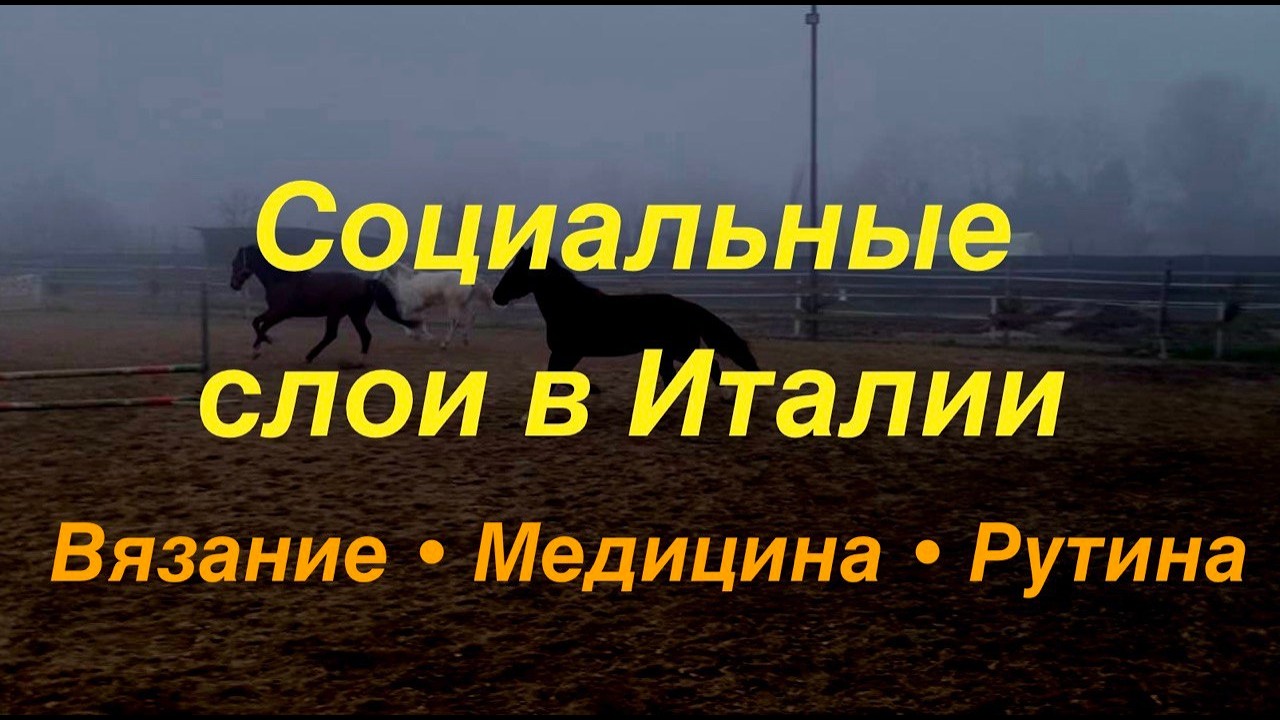 Кристальная Мозаика или Куча Мусора? Работа Врачом в Европе и Италии, Конный Спорт в 2026 Году.