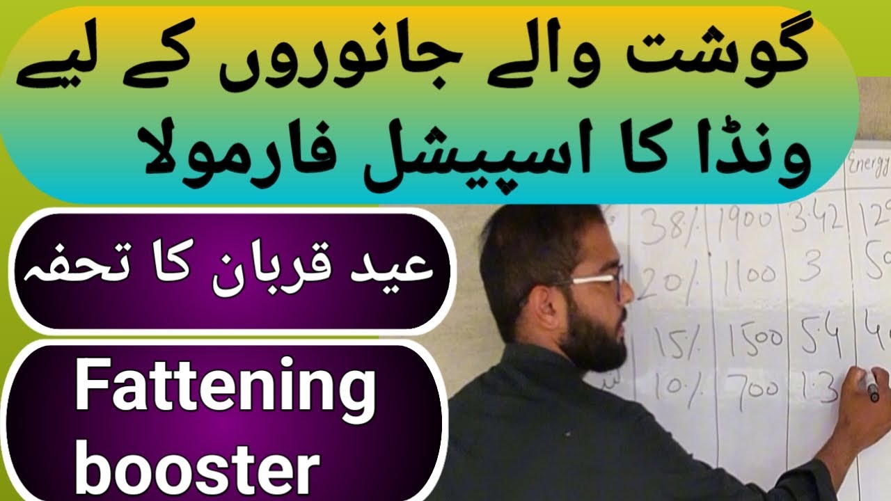 Special formula for fattening! Eid gift!fattening booster! وزن میں حیران کن اضافہ