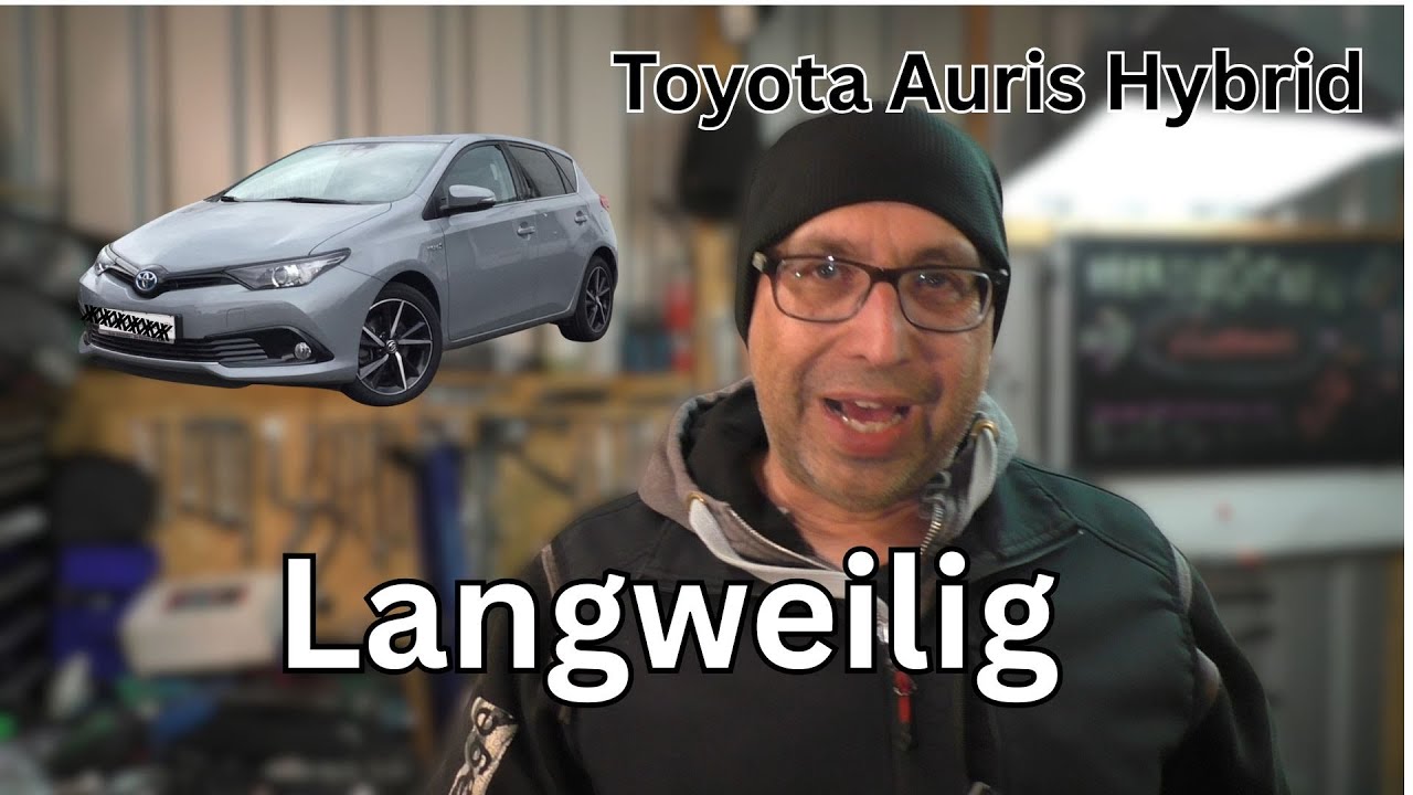 Ziel erreicht!! - von 0 auf 200000KM - Alle Probleme auf einen Blick - Toyota Auris Hybrid