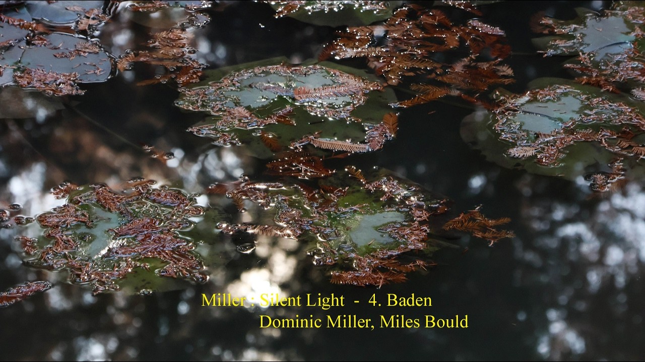 Miller : Silent Light - 4. Baden