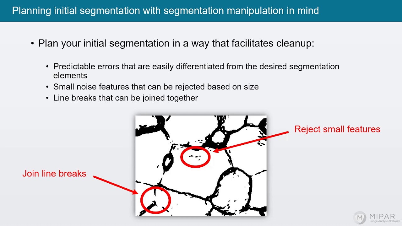 MIPAR Academy 1-4: Image Analysis Workflow