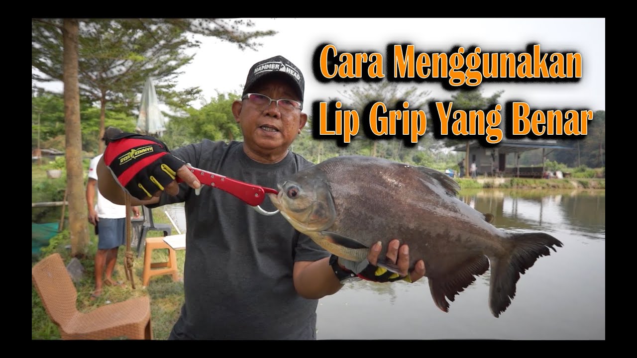 Hal-Hal Yang Perlu Diketahui Saat Penggunaan Lip Grip.