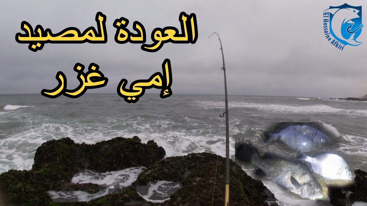 تحدي صيد السمك في يوم واحد بمصيد إمي غزر