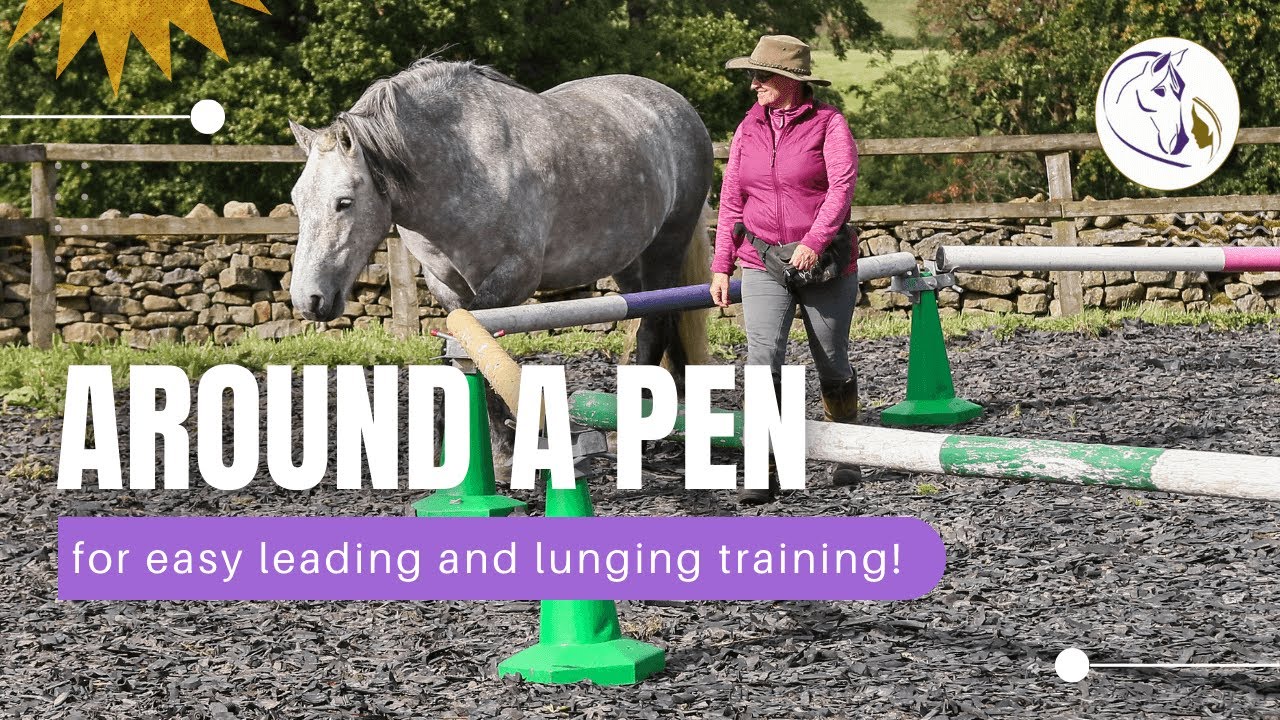 Around a Round Pen - for easy leading and lunging training! (aka Reverse Round Pen)
