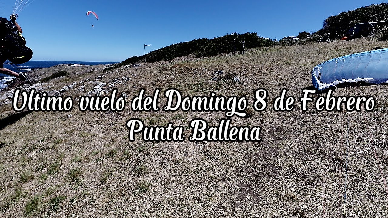 Ultimo vuelo 8 de Febrero en Punta Ballena