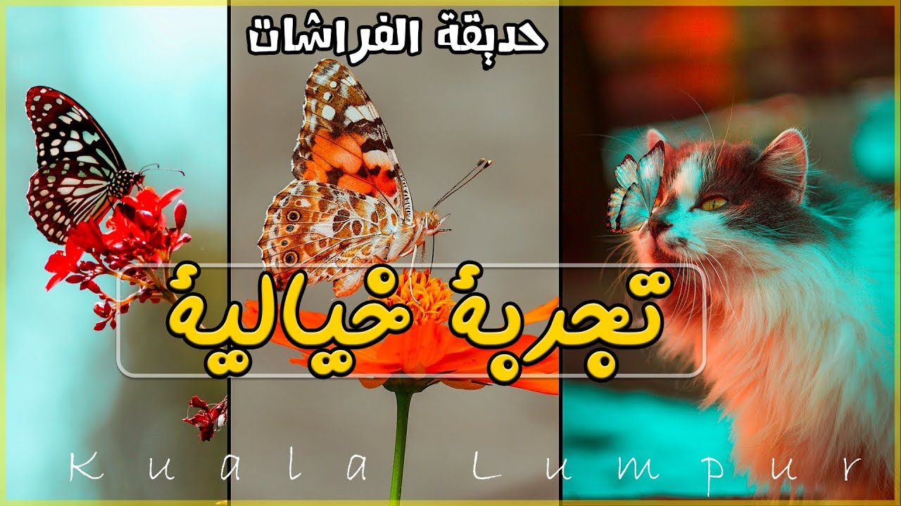 حديقة الفراشات كوالالمبور