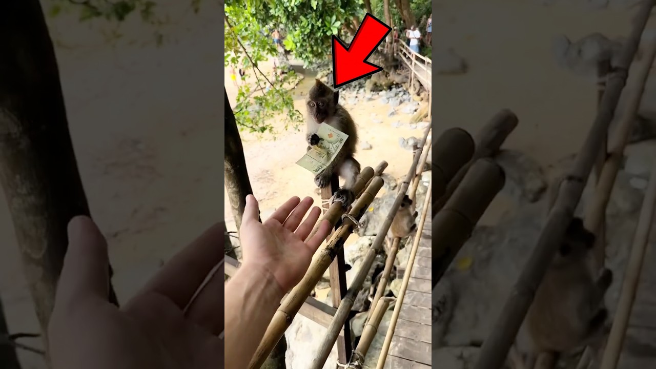 Million-Dollar Animals 🐎💸 #cow #animals #shorts