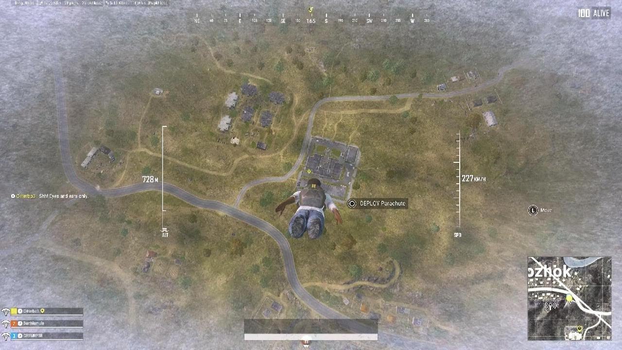 Chicken Dinner