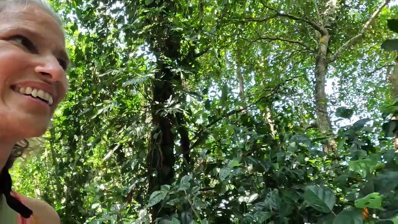 Playa Negra and Cuhuita National Park