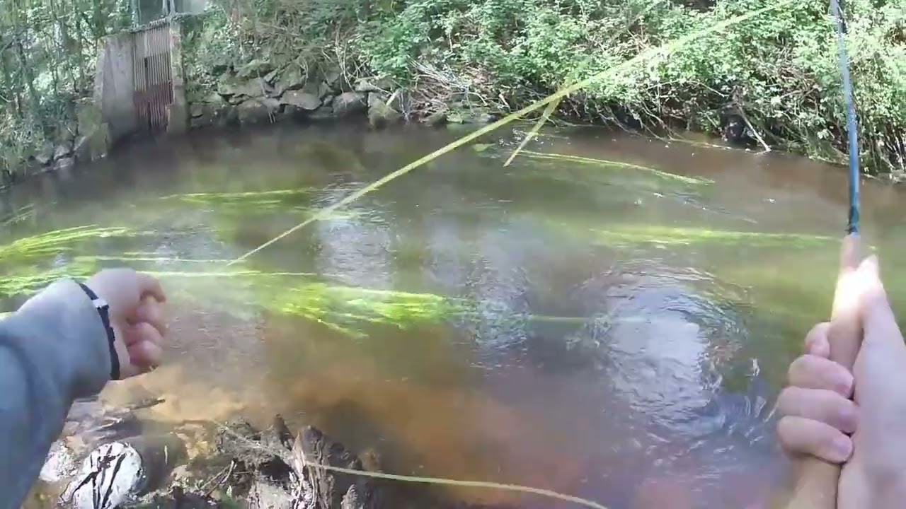 Pêche à la mouche sur le Goyen en Bretagne
