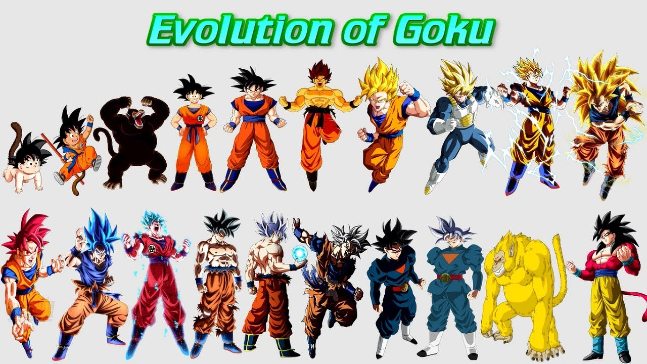 Evolution of Saiyans (DB/DBZ/DBS/SDBH/DBGT)