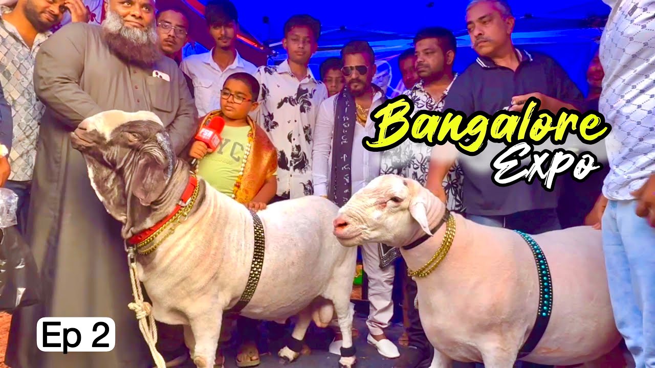 Bangalore Sheep & Goat Expo 2025 with MD Goat Farm Ep 2 | Namma Bengaluru