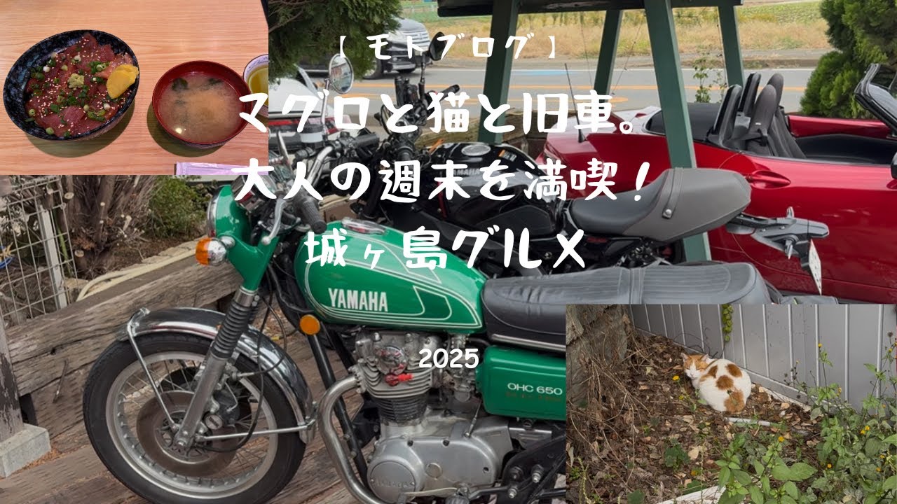 【モトブログ】マグロと猫と旧車。大人の週末を満喫！城ヶ島グルメ #motovlog #城ヶ島 #リバイバルカフェ #ツーリング #yamaha #旧車 